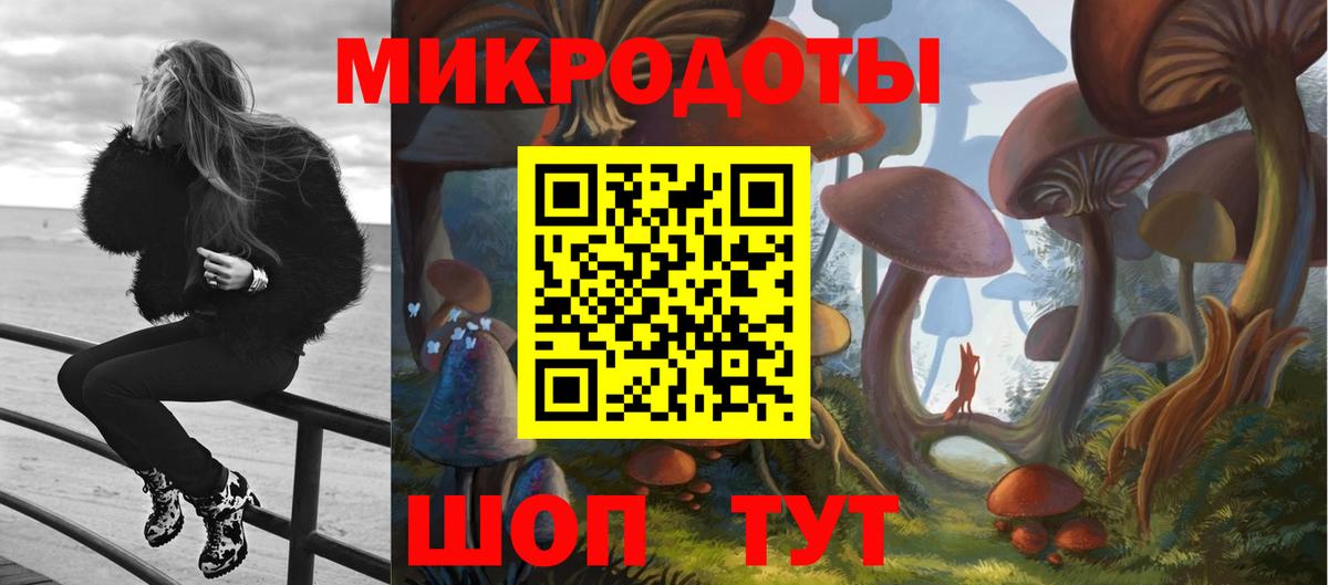 Псилоцибиновые грибы Cubensis Нефтекамск